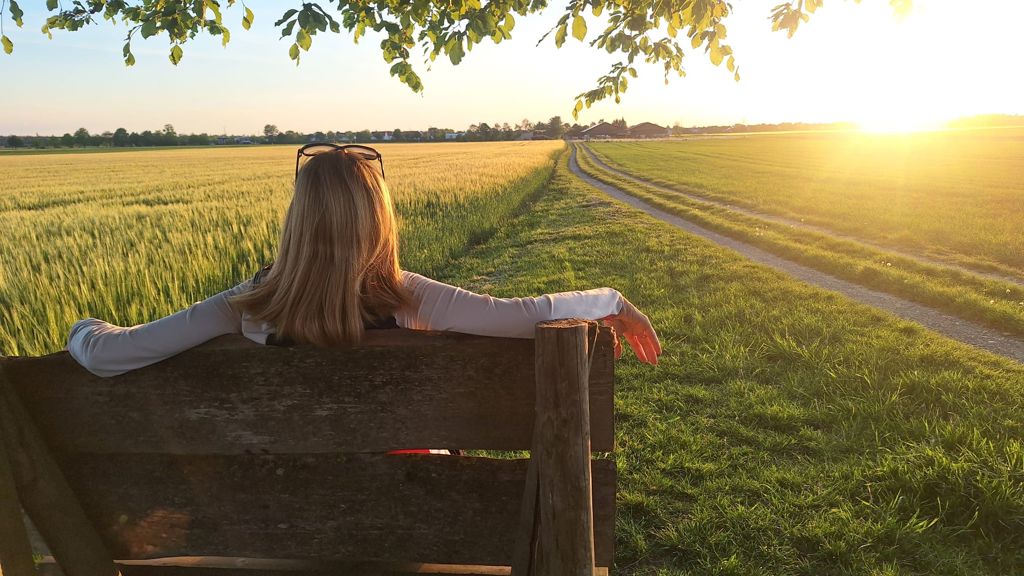 Frau sitzt entspannt auf einer Bank mit Blick über ein Getreidefeld im Abendlicht – Symbolbild für innere Ruhe und Nervensystem-Regulation