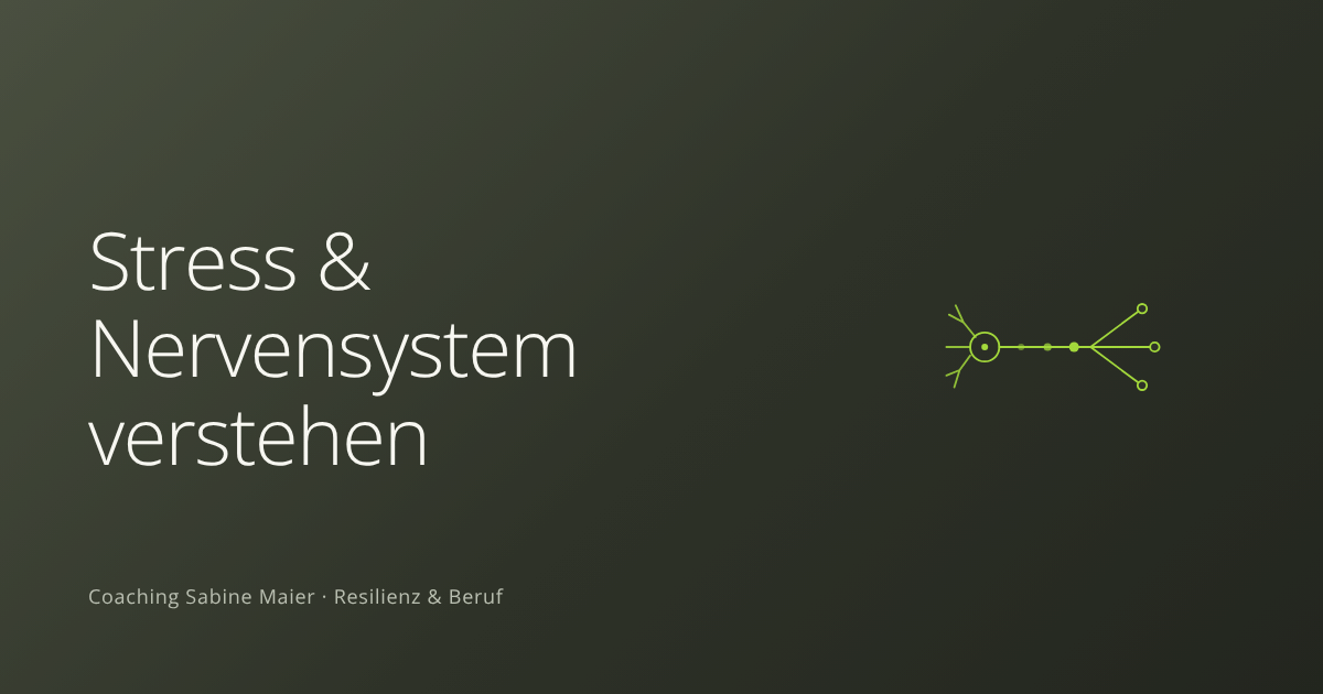 Drei feine hellgrüne Wellenlinien werden von links nach rechts ruhiger auf dunklem Olivgrund. Beitragsbild zum Thema Zapchen, Kategorie Stress & Nervensystem verstehen.
